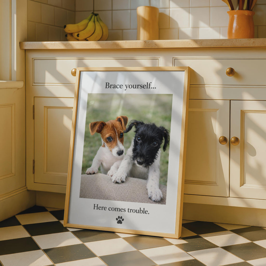 Puppy Poster, Brace Yourself Here Comes Trouble, Dog Photography Print