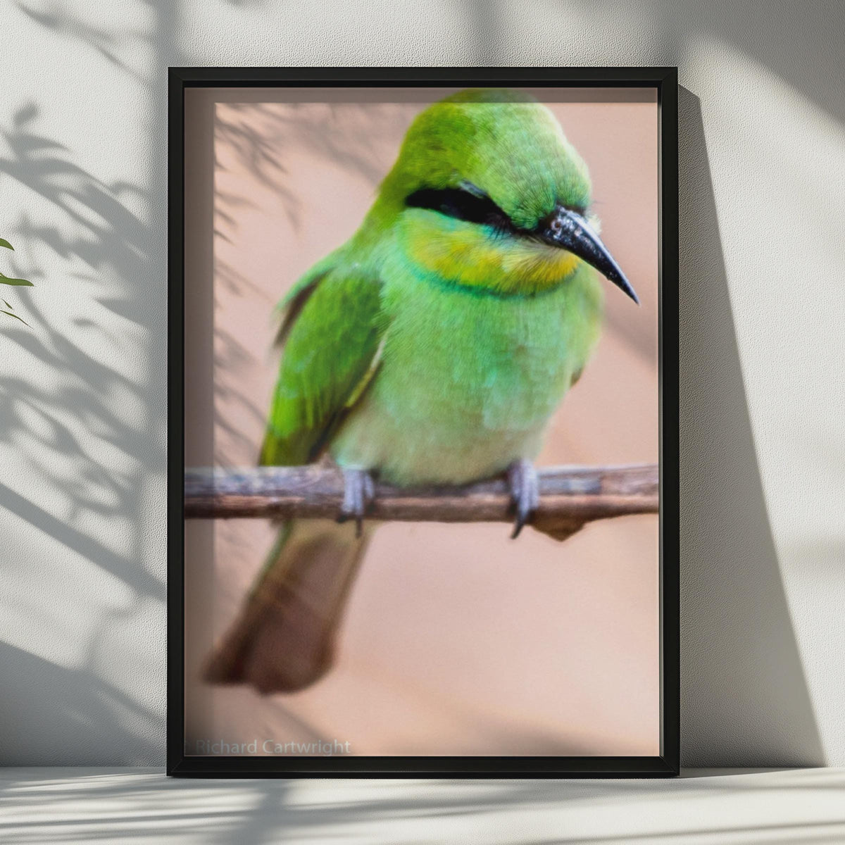 Green Bee-Eater Bird Poster, Wildlife Photography Print, Tropical Bird Wall Art