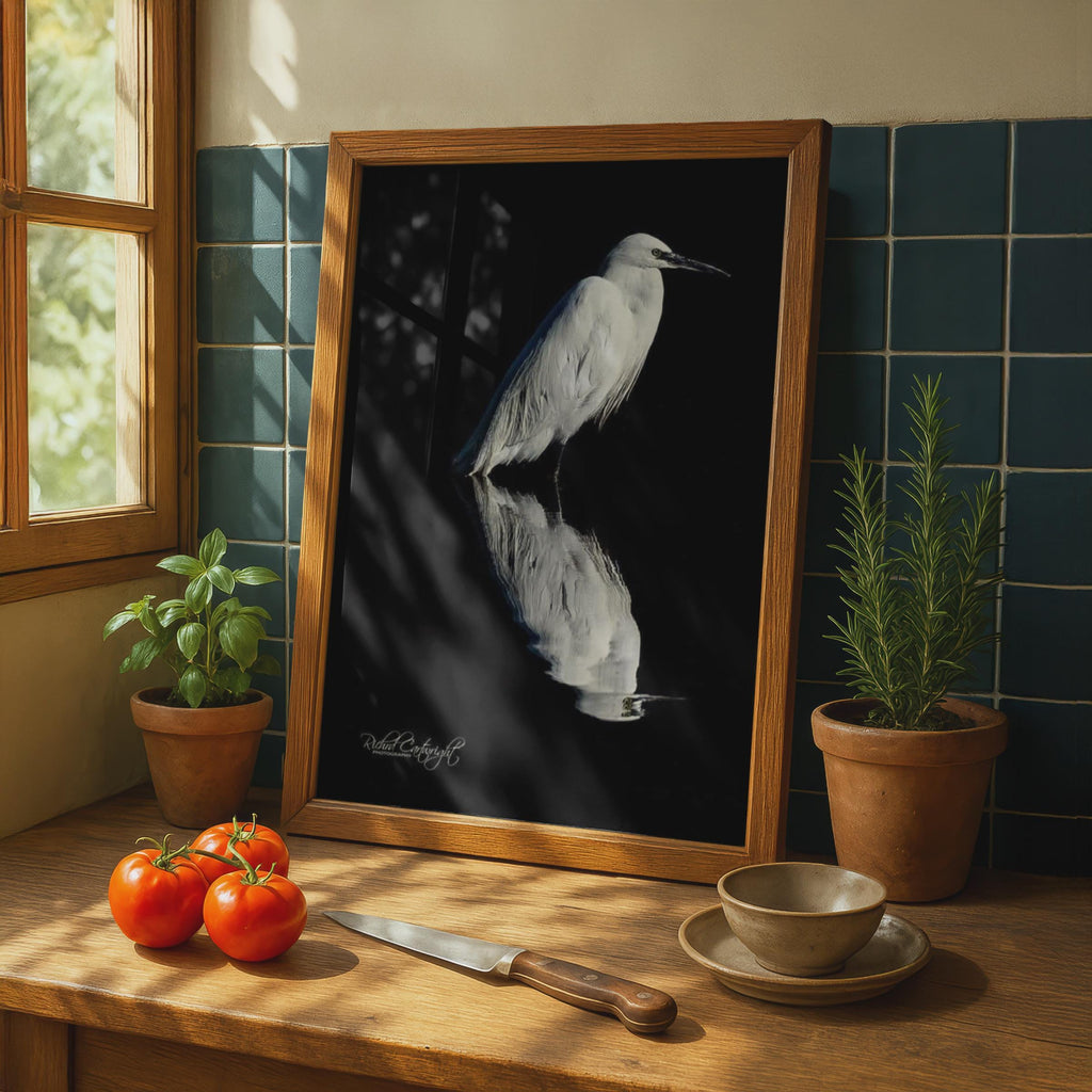 White Egret Reflection Poster, Bird Shadow Wildlife Photography, Black Water Wall Art