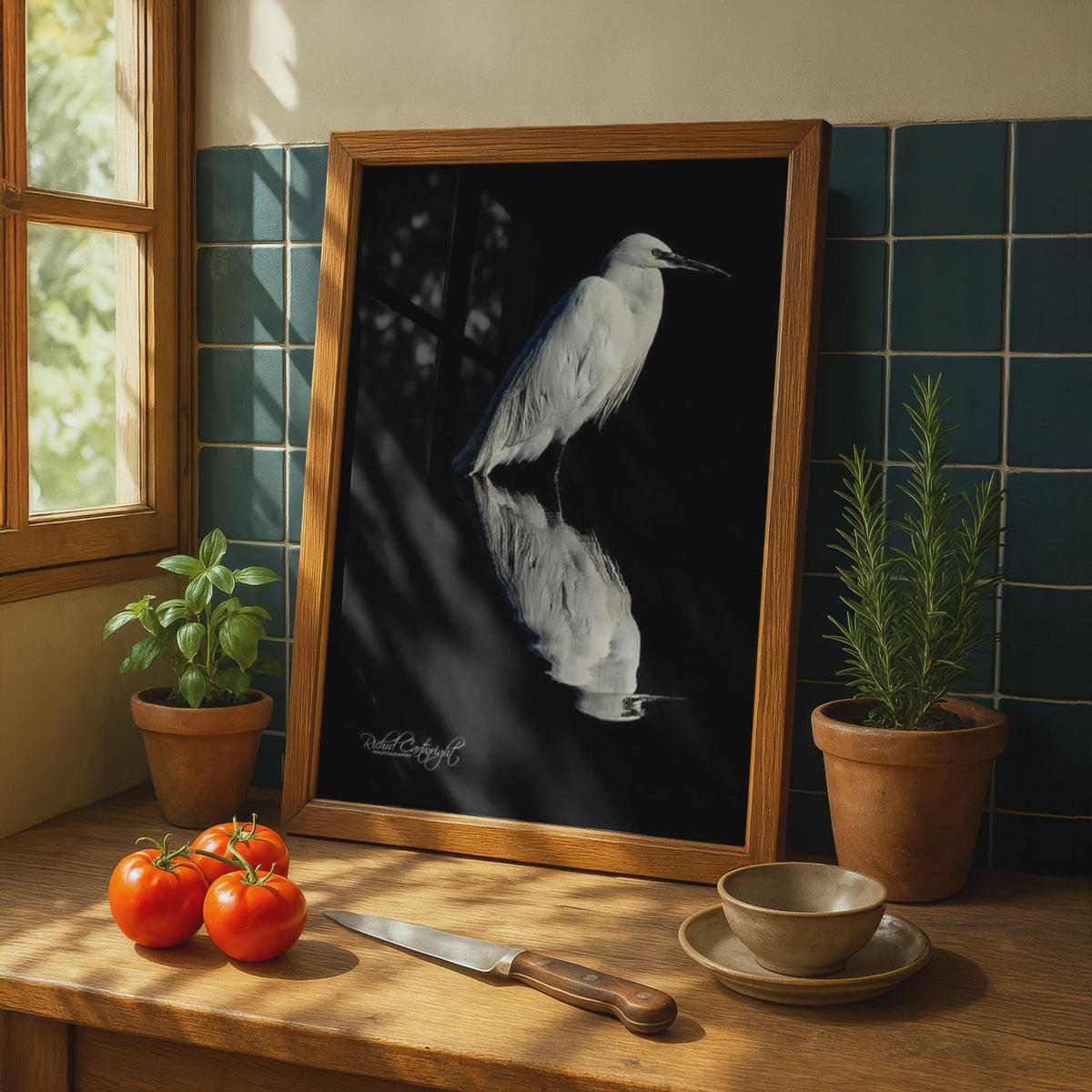 White Egret Reflection Poster, Bird Shadow Wildlife Photography, Black Water Wall Art