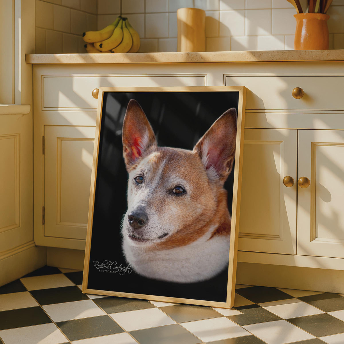 Jack Russell Terrier Dog Portrait Poster, Brown White Dog Wall Art, Pet Photography Print