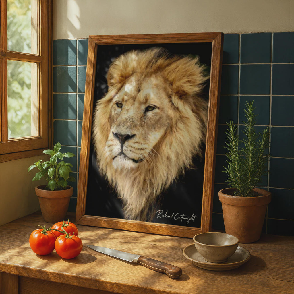 Male Lion Portrait Poster, Wildlife Photography Wall Art, Big Cat Print, Dark Background