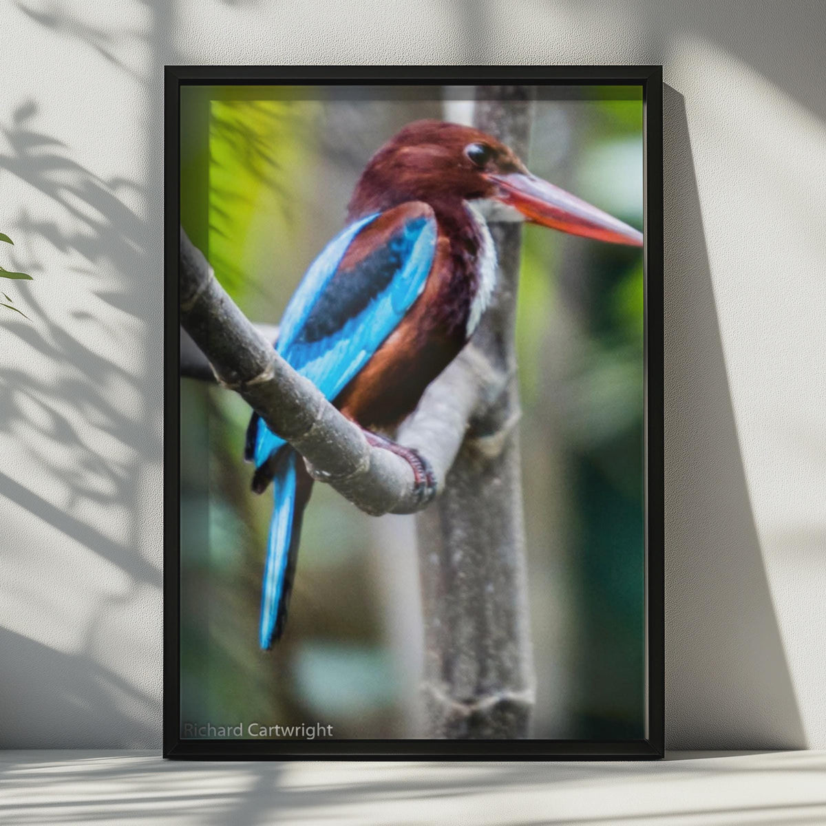 Kingfisher Bird Poster, Blue Wildlife Photography Print, Tropical Bird Wall Art