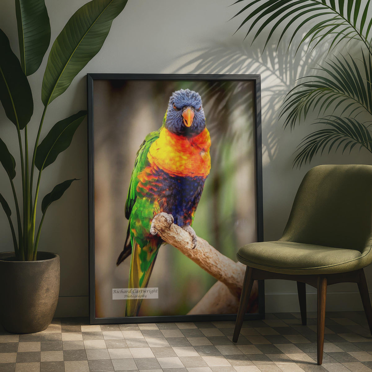 Rainbow Lorikeet Poster, Colourful Parrot Wall Art, Tropical Bird Photography Print