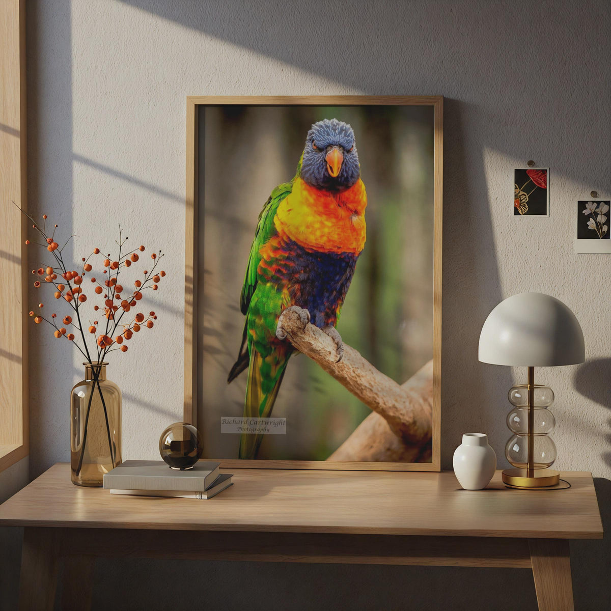 Rainbow Lorikeet Poster, Colourful Parrot Wall Art, Tropical Bird Photography Print