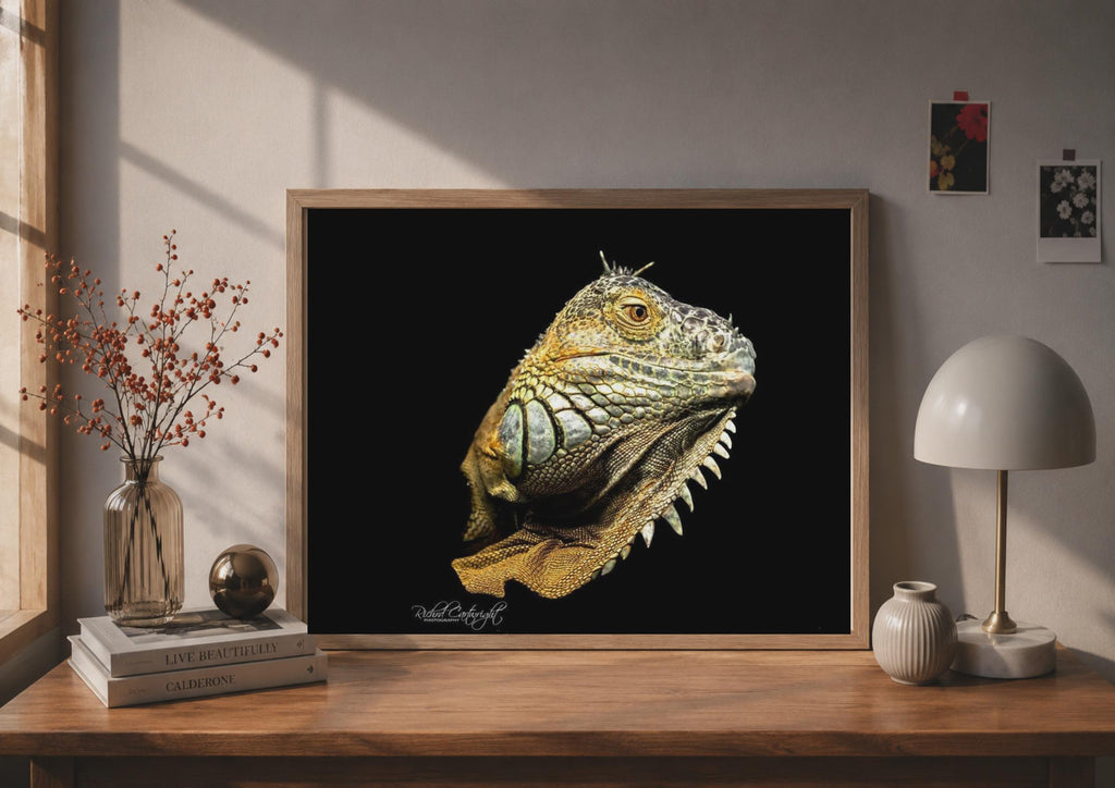 Iguana Portrait Poster, Reptile Wall Art, Dark Background Wildlife Photo Print