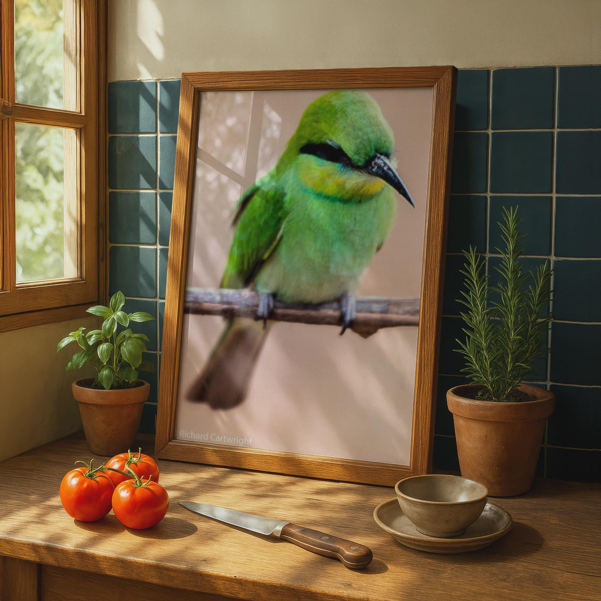 Green Bee-Eater Bird Poster, Wildlife Photography Print, Tropical Bird Wall Art