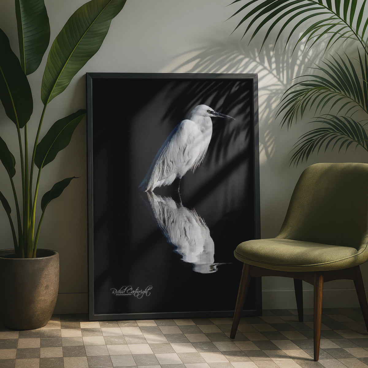 White Egret Reflection Poster, Bird Shadow Wildlife Photography, Black Water Wall Art