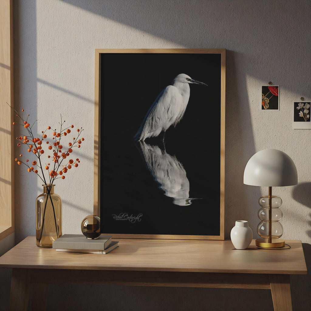 White Egret Reflection Poster, Bird Shadow Wildlife Photography, Black Water Wall Art