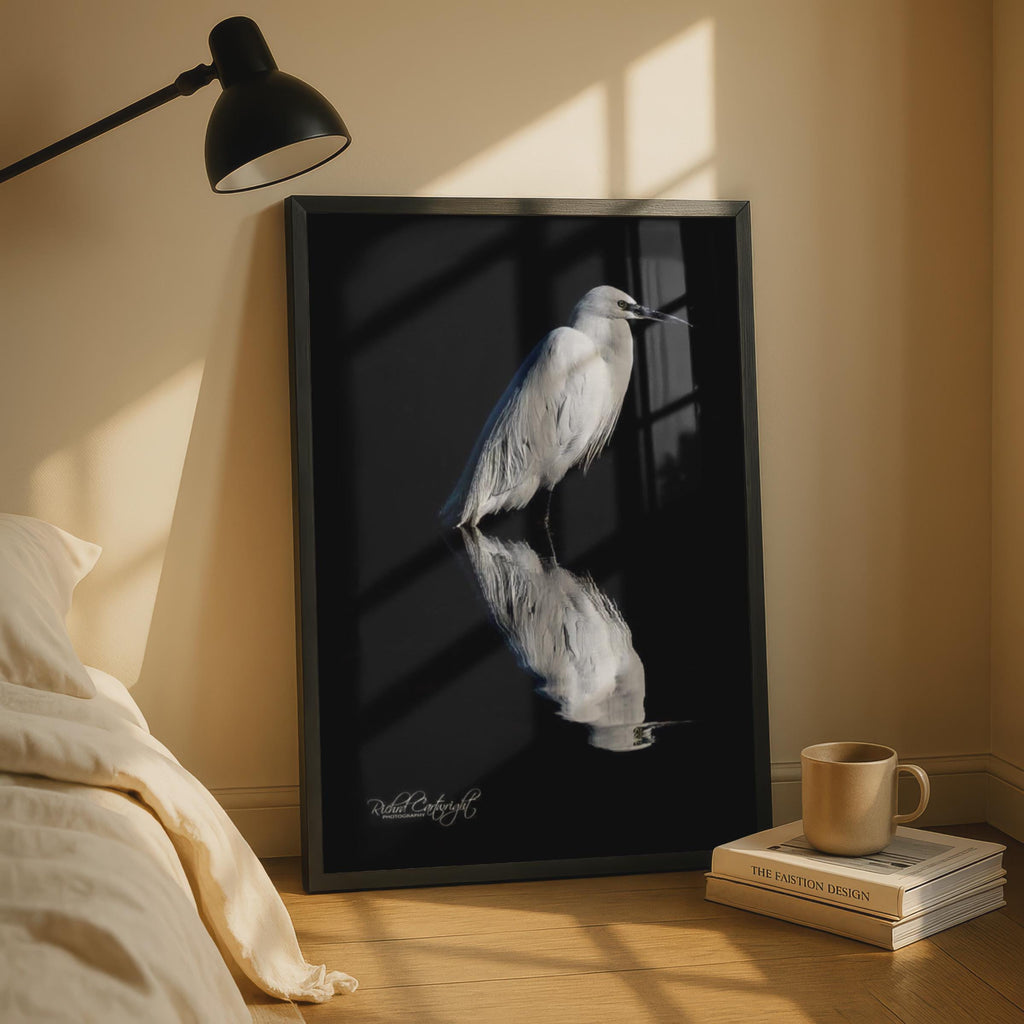 White Egret Reflection Poster, Bird Shadow Wildlife Photography, Black Water Wall Art
