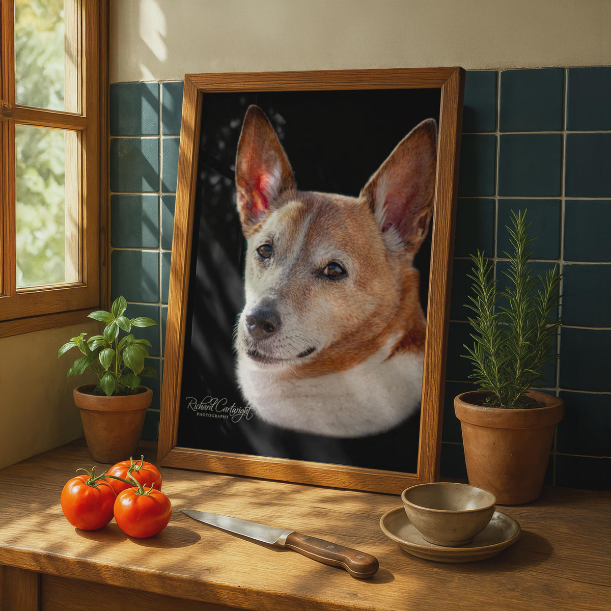 Jack Russell Terrier Dog Portrait Poster, Brown White Dog Wall Art, Pet Photography Print