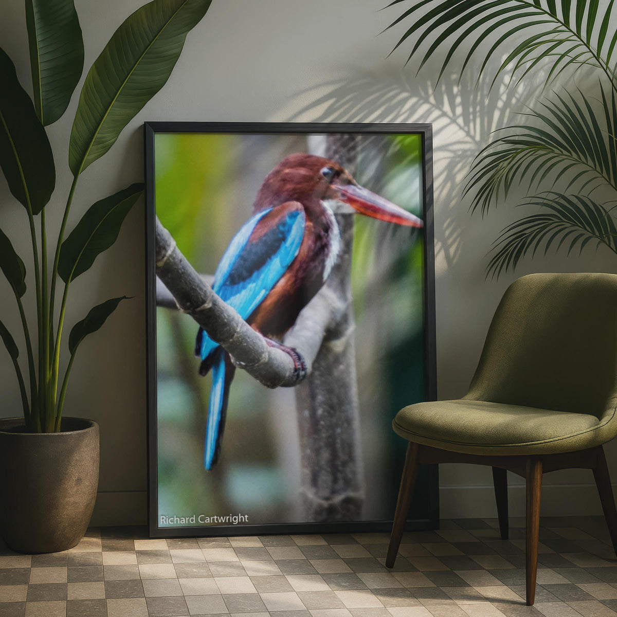 Kingfisher Bird Poster, Blue Wildlife Photography Print, Tropical Bird Wall Art