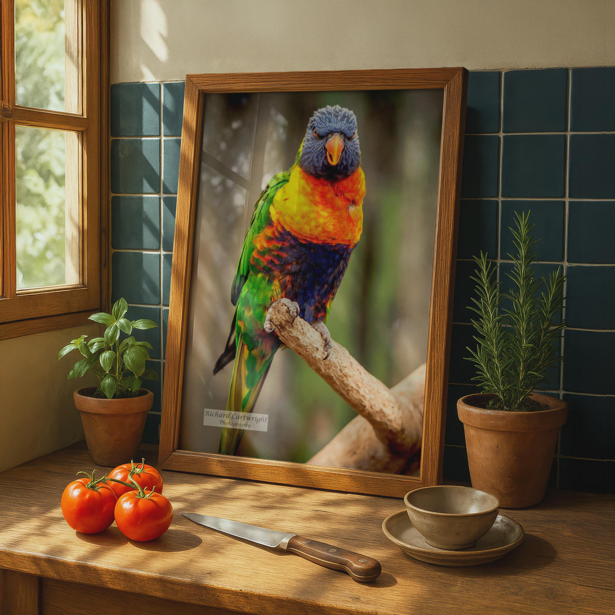 Rainbow Lorikeet Poster, Colourful Parrot Wall Art, Tropical Bird Photography Print