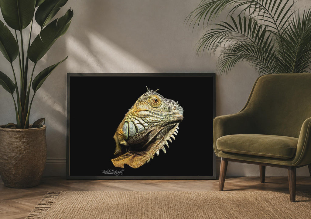 Iguana Portrait Poster, Reptile Wall Art, Dark Background Wildlife Photo Print