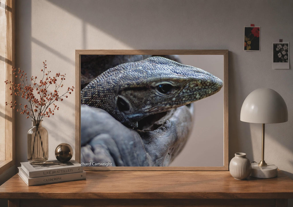 Monitor Lizard Close Up Poster, Reptile Wildlife Photography Print, Grey Wall Art