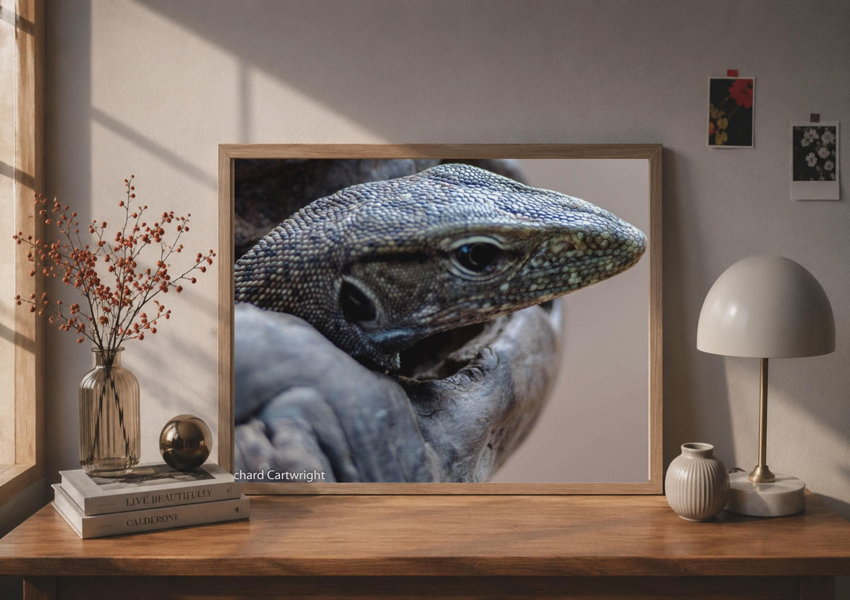 Monitor Lizard Close Up Poster, Reptile Wildlife Photography Print, Grey Wall Art