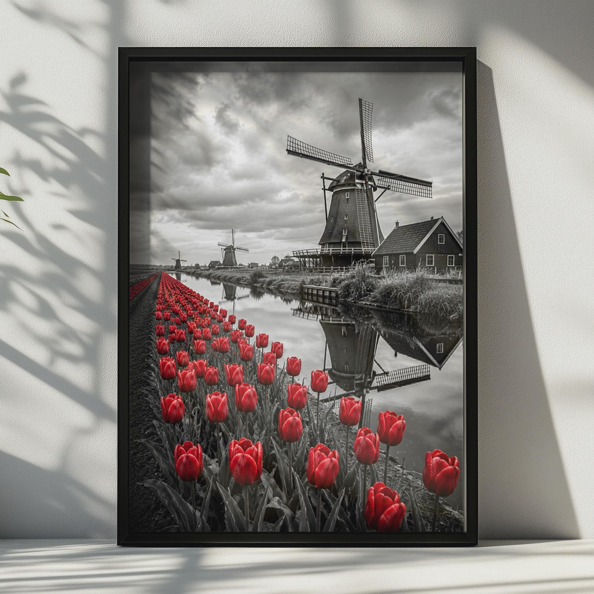 Dutch Windmill Red Tulips Poster, Black and White Photography, Holland Canal Wall Art