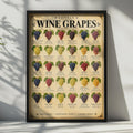 Artisan Wine Grapes Poster, Vintage Style Grape Variety Chart, Winery Wall Art (Print)