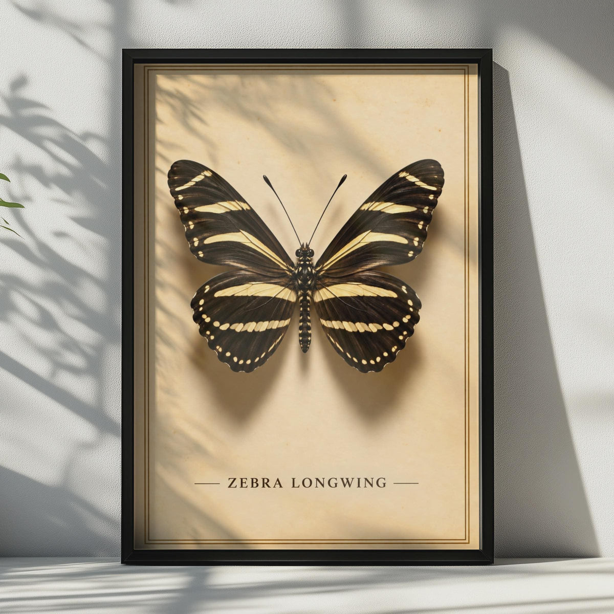 Zebra Longwing Butterfly Poster, Vintage Entomology Wall Art, Black Gold Nature Print (Physical Print)
