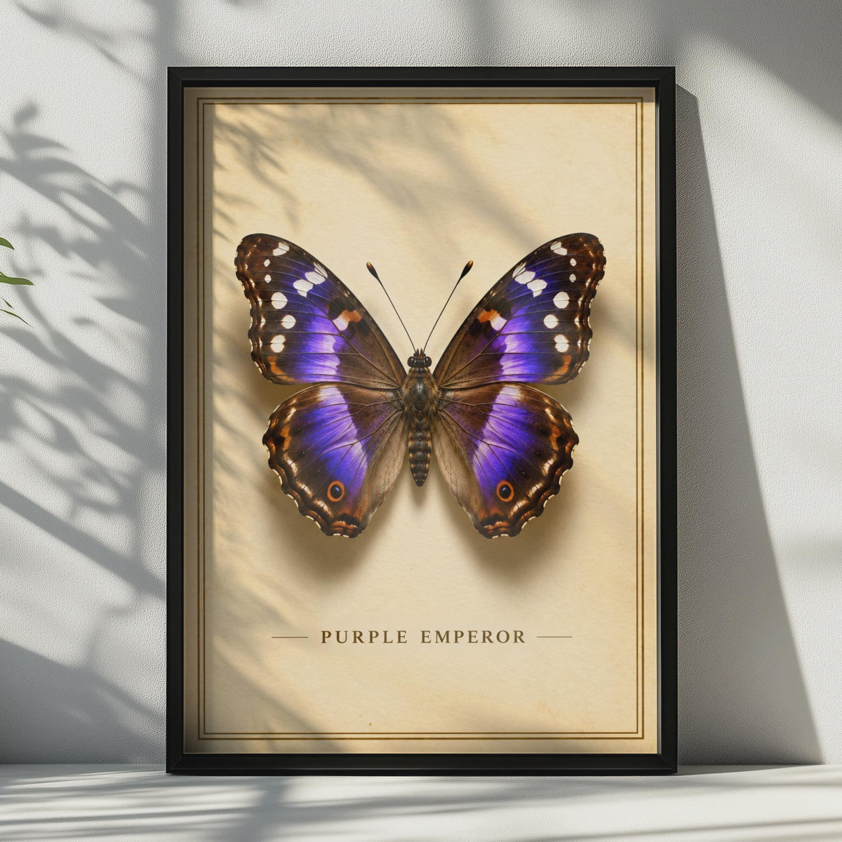 Purple Emperor Butterfly Poster, Victorian Entomology Print, British Wildlife Decor