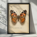 Painted Lady Butterfly Poster, Victorian Botanical Style, Orange Brown Insect Print (Physical Print)