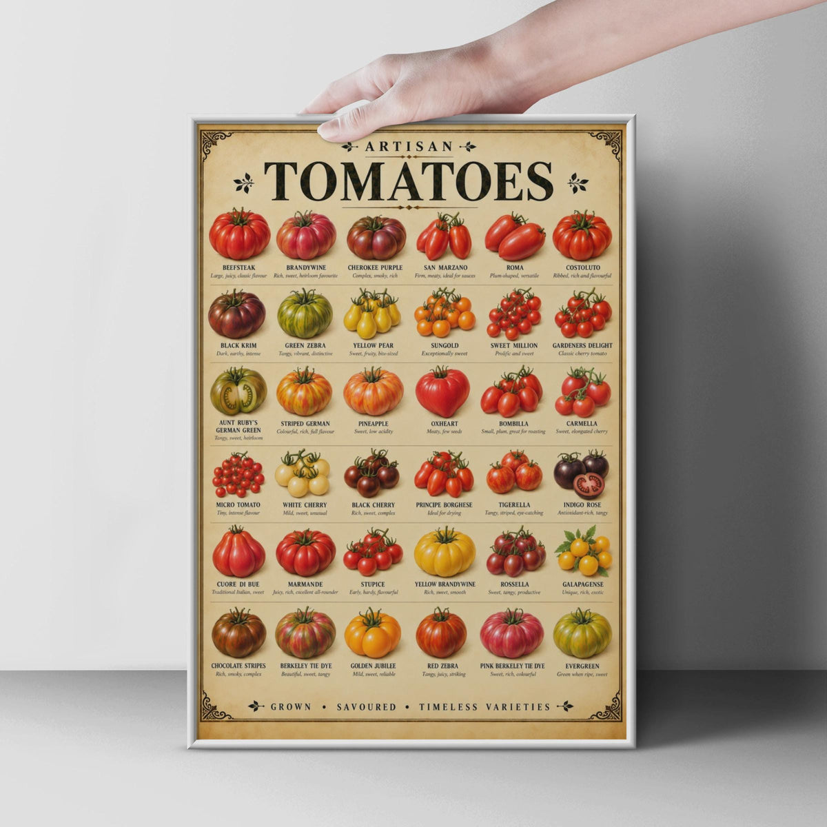 Artisan Tomato Varieties Poster, Heirloom Chart Print, Kitchen Wall Art (Physical Print)
