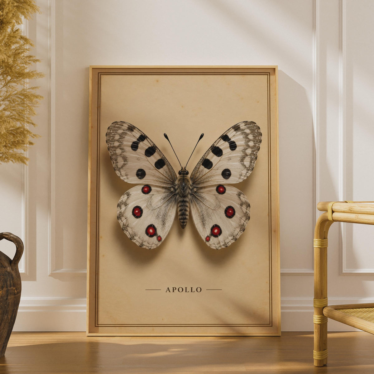 Apollo Butterfly Poster, Vintage Entomology Print, Cottagecore Nature Decor (Physical Print)